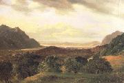 Alexandre Calame The Rhone Valley at Bex with a View to the Lake of Geneva (nn02) oil on canvas